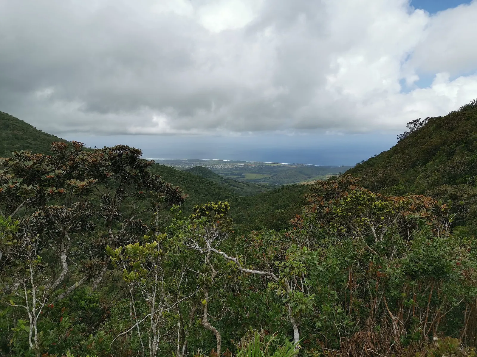Point de vue d’Alexandra Falls