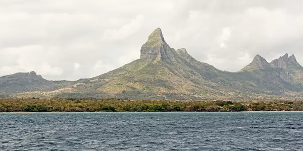 Pêche au gros depuis Rivière Noire