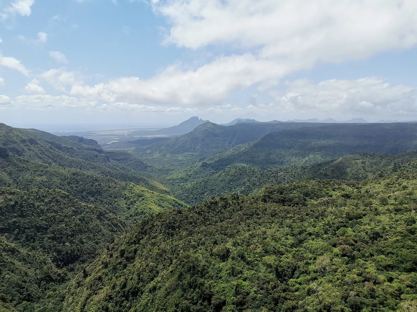 Black River Peak (Piton de la Petite Rivière Noire)