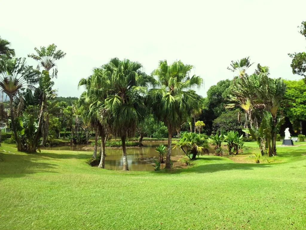 Curepipe botanical garden