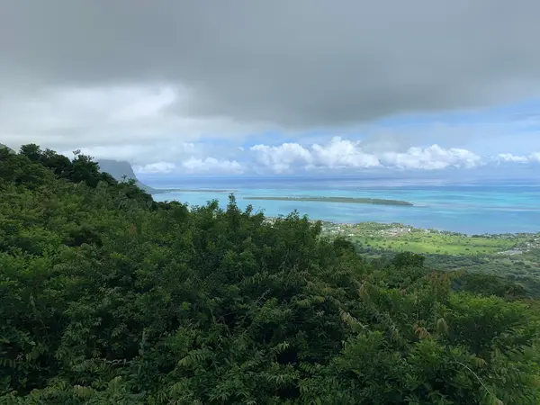 Le Chamarel Restaurant