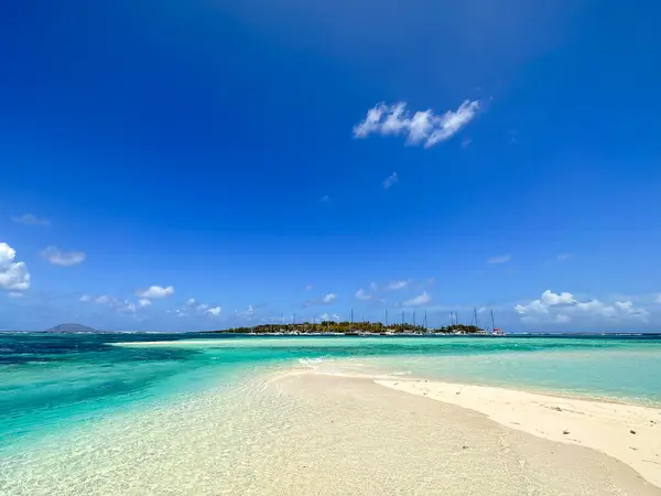 Catamaran to Gabriel & Coin de Mire islands