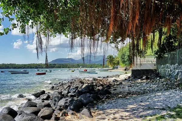 Tamarin Bay