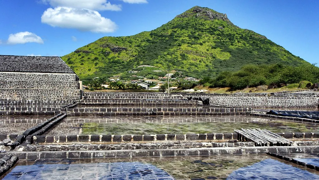Walk: Tamarin salt pans & the river mouth